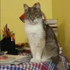 Отзыв от Татьяна Ананьева